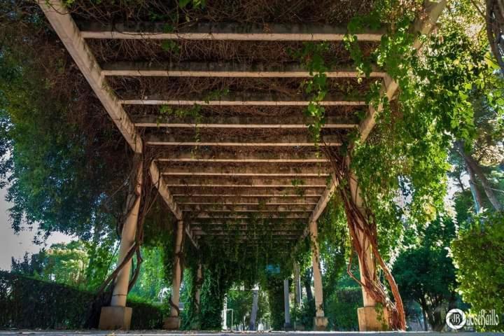 شقة Casa La Tercia Herencia المظهر الخارجي الصورة